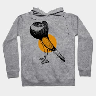 humming dove Hoodie